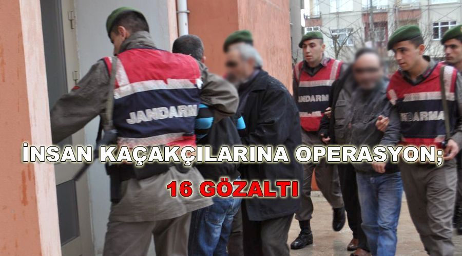 İnsan kaçakçılarına operasyon; 16 gözaltı 