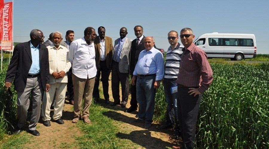 Sudan tarım heyeti Tekirdağ’da 