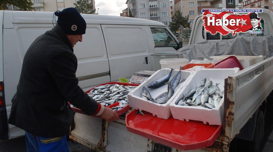 Balık fiyatlar düşmeye devam ediyor  