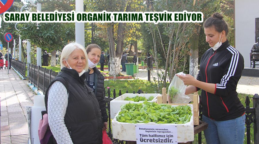 Saray Belediyesi organik tarıma teşvik ediyor