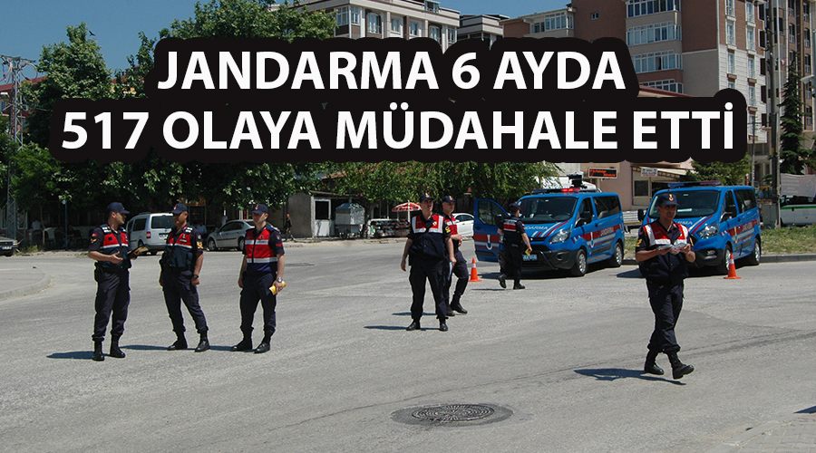 Jandarma 6 ayda 517 olaya müdahale etti