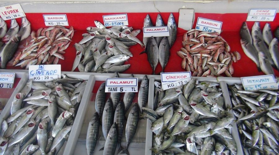 Balık fiyatlarına soğuk etkisi