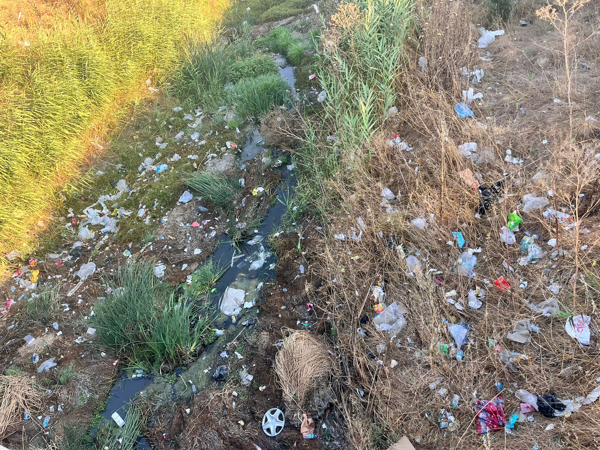 Çerkezköy’ün dereleri kaderine terk edildi