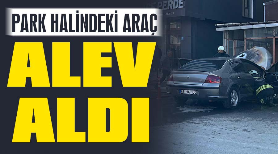 Park halindeki araç alev aldı