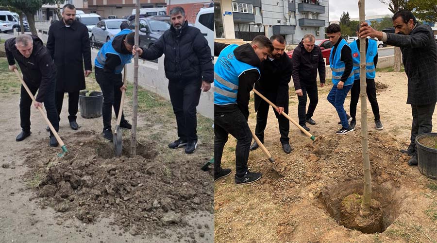 MHP’den ‘Biz Kardeşiz’ temalı ağaç dikim etkinliği 