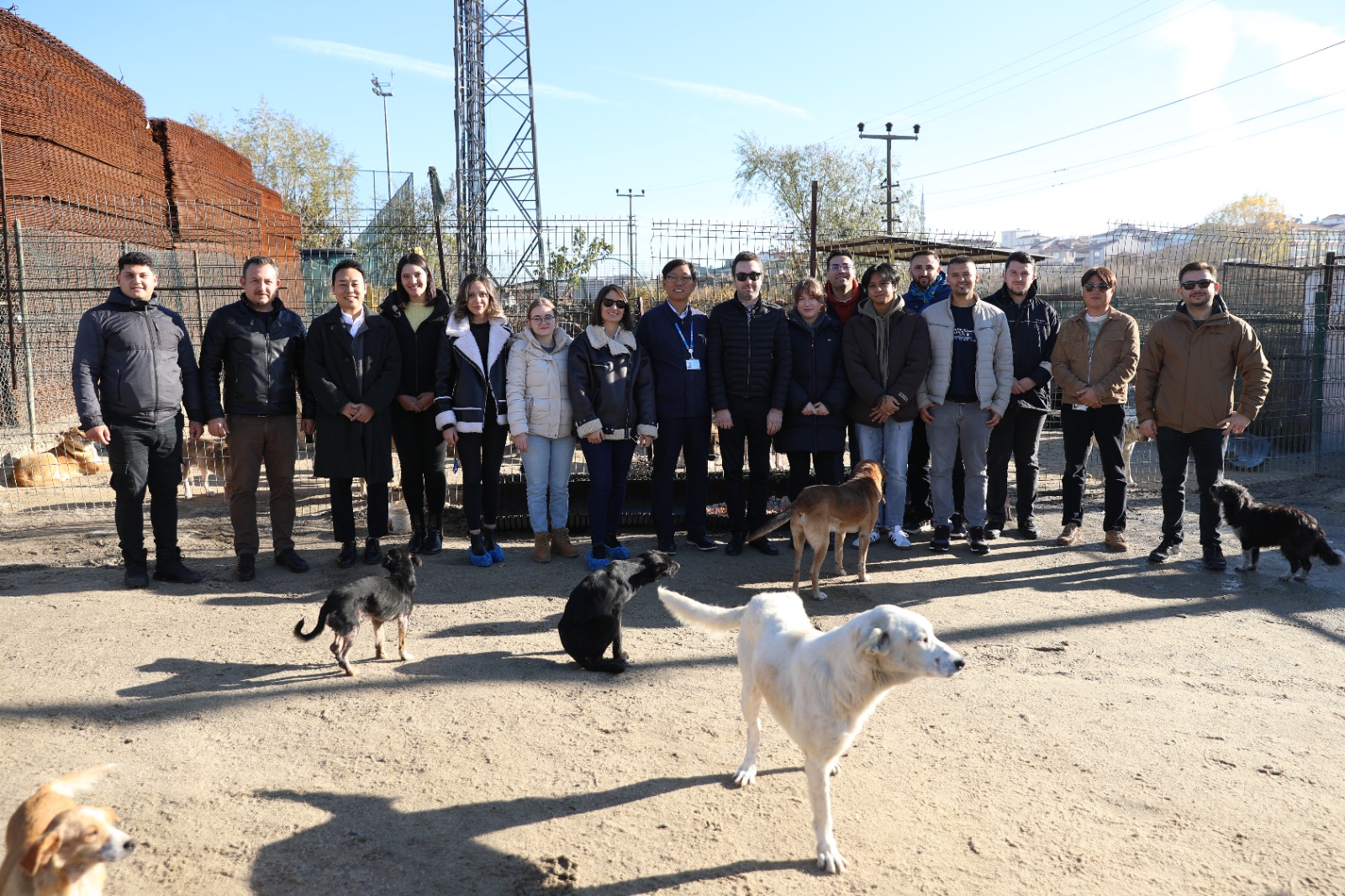 Samsung’dan rehabilite edilen sokak hayvanlarına mama desteği