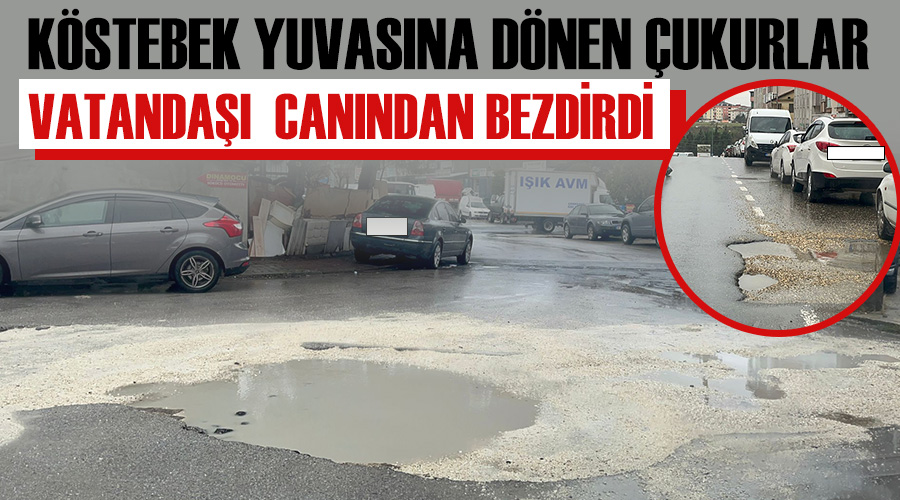 Köstebek yuvasına dönen çukurlar vatandaşı canından bezdirdi