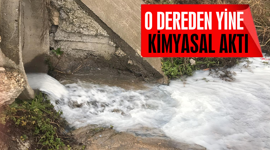 Kavakdere zehir akıyor yetkililer bakıyor