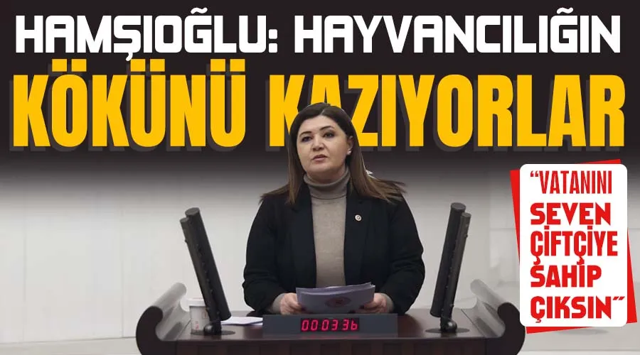 Hamşıoğlu: Hayvancılığın kökünü kazıyorlar