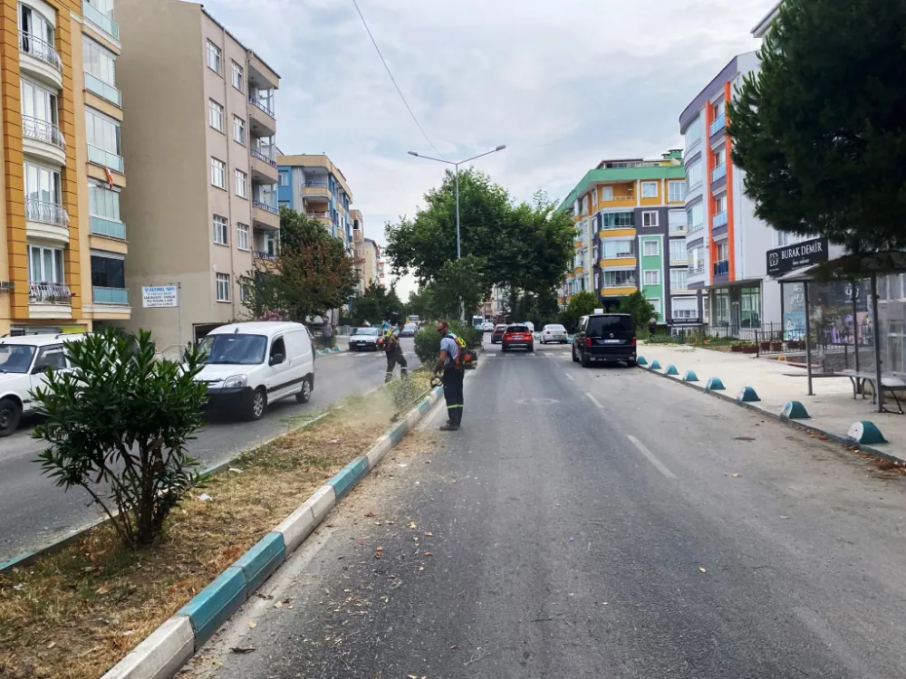 Süleymanpaşa’da uçkun ve haşere ile mücadele çalışmaları sürüyor