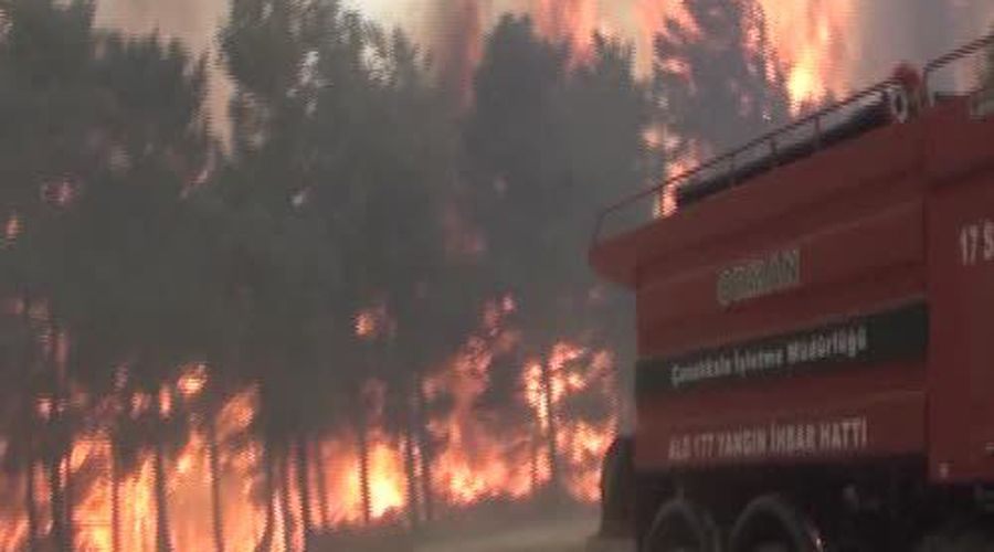 Gelibolu’da Orman Yangını 
