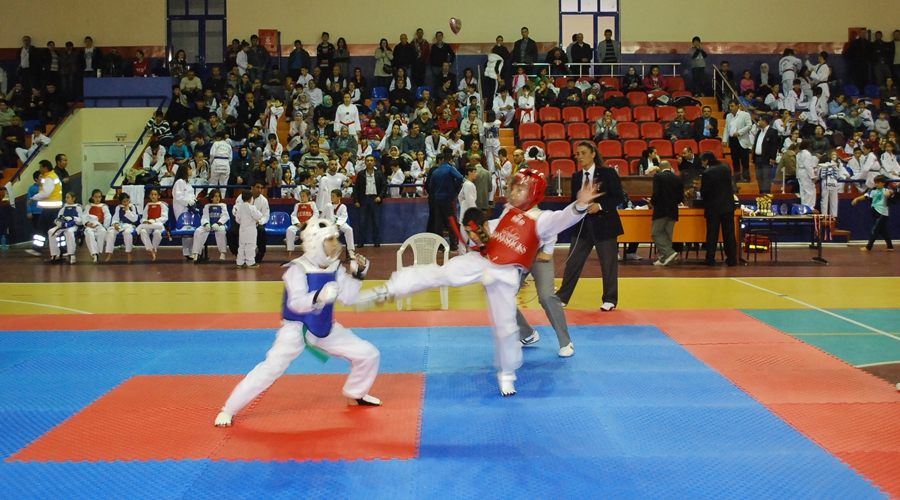  Çerkezköy’de Taekwondo heyecanı yaşandı