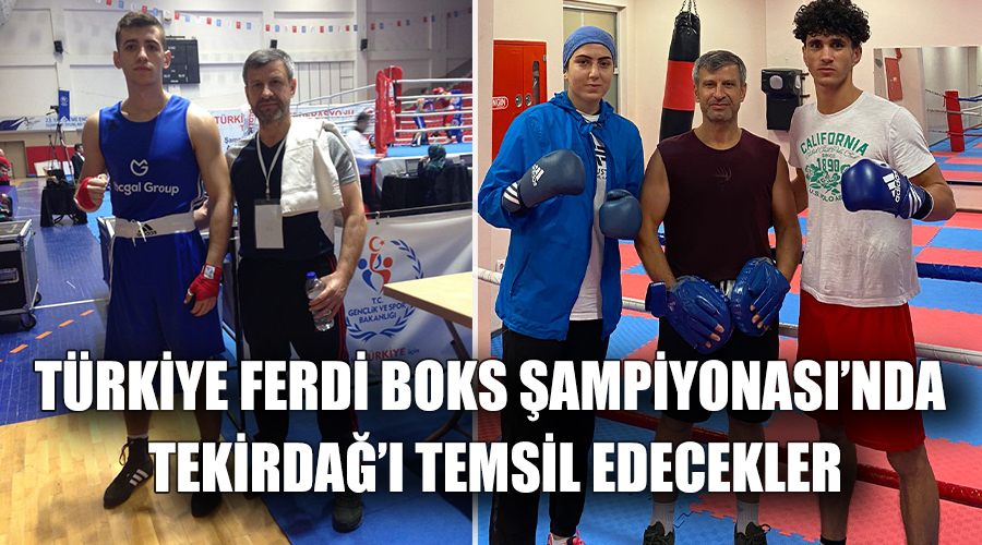 Türkiye Ferdi Boks Şampiyonası