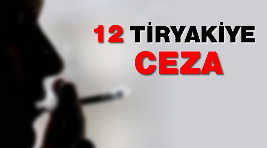 12 tiryakiye sigara cezası