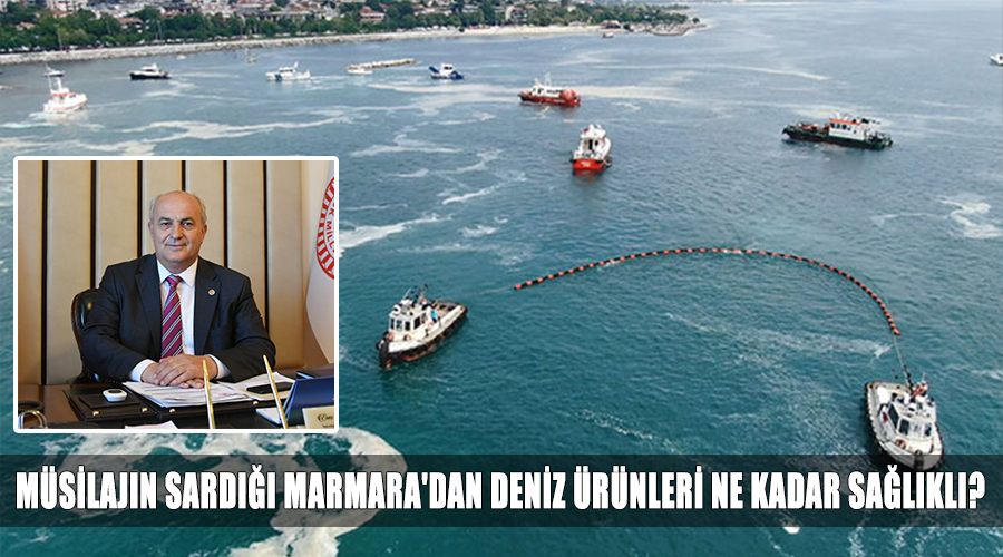 Kaplan: Müsilajın sardığı Marmara