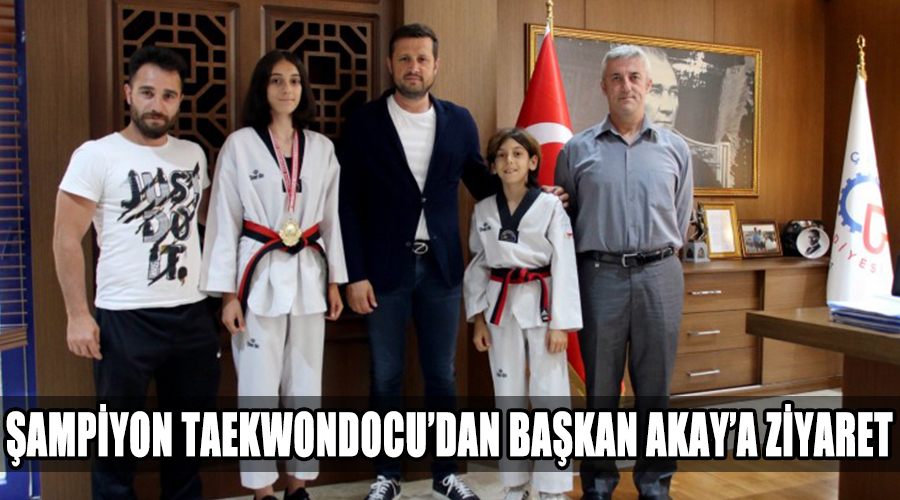 Şampiyon Taekwondocu